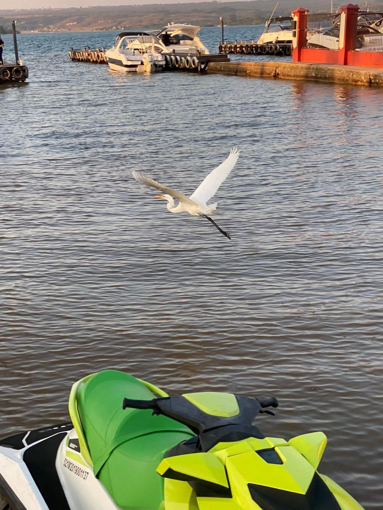 Flat Beira Lago No Centro De Bsb ブラジリア エクステリア 写真