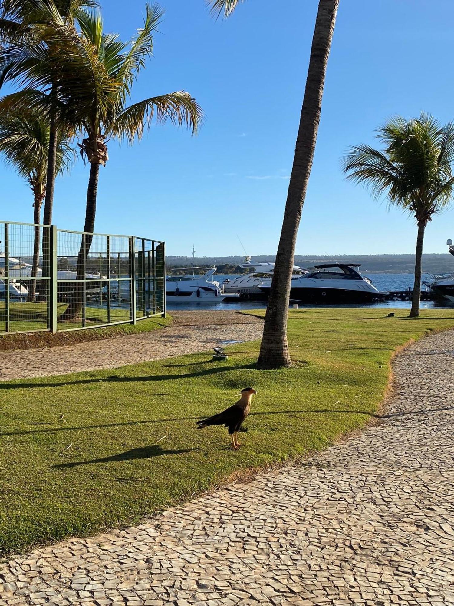 Flat Beira Lago No Centro De Bsb ブラジリア エクステリア 写真